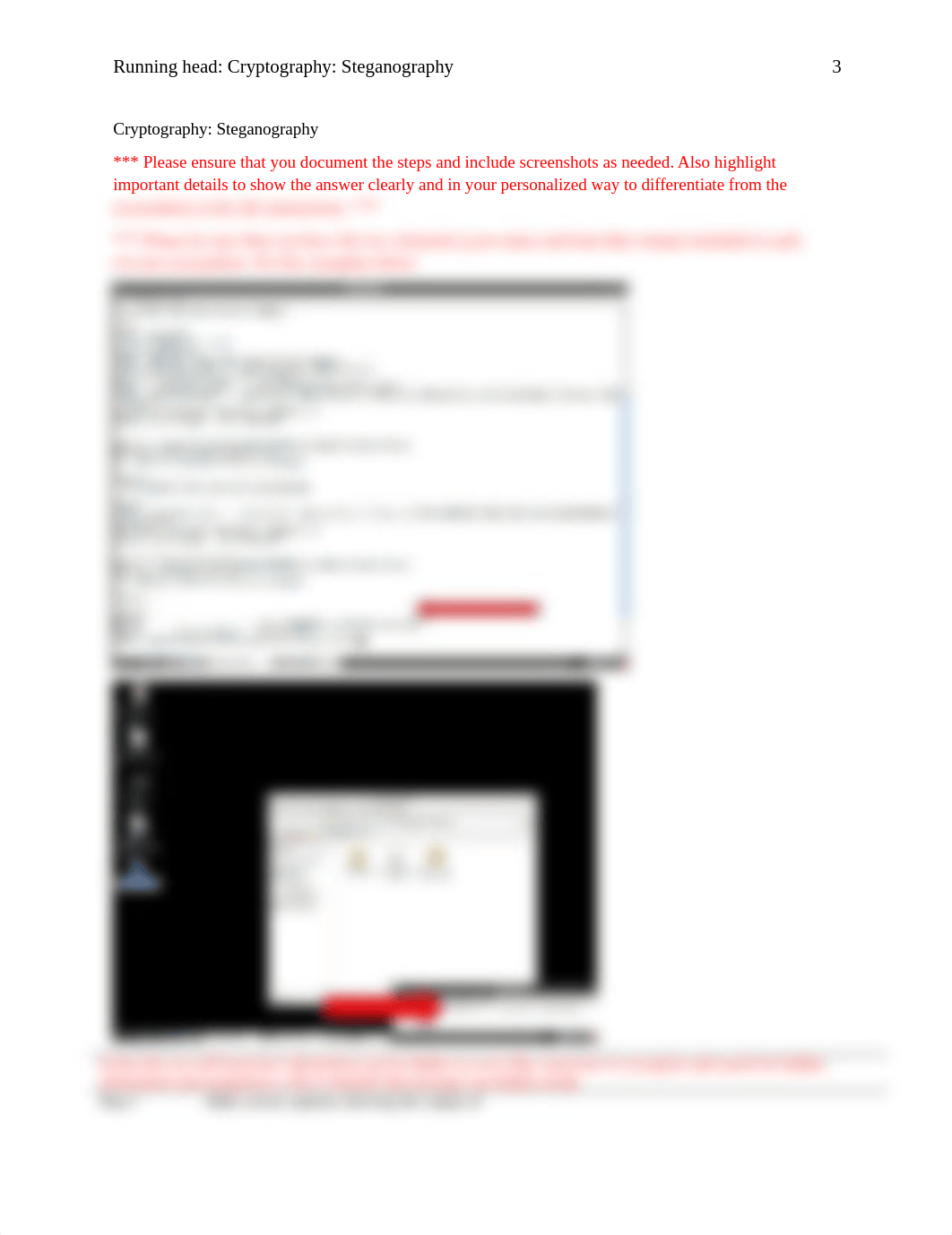Lab Cryptography Steganography Assignment Instructions.docx_dhhptl4nveh_page3