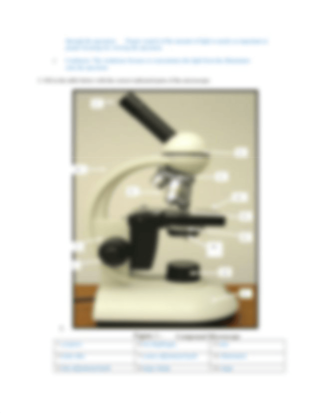 Lab 2 Microscope Assignment Answer Sheet (3).docx_dhhq02mi4bw_page2