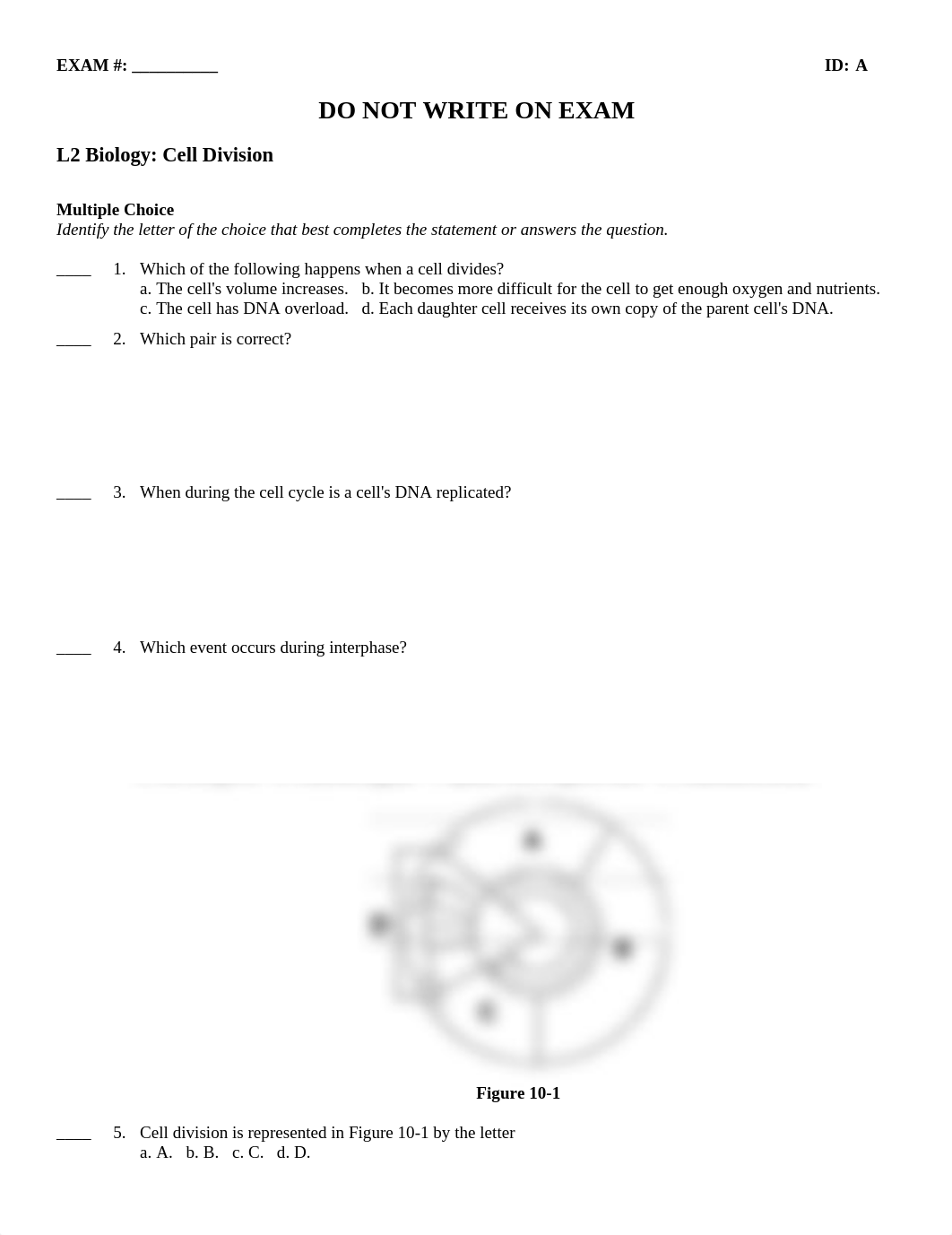 Cell Division Exam_dhhs0nbxqpb_page1