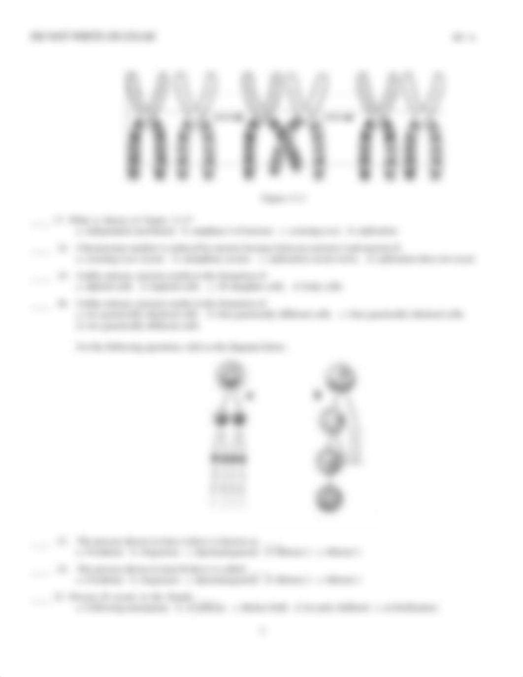 Cell Division Exam_dhhs0nbxqpb_page3