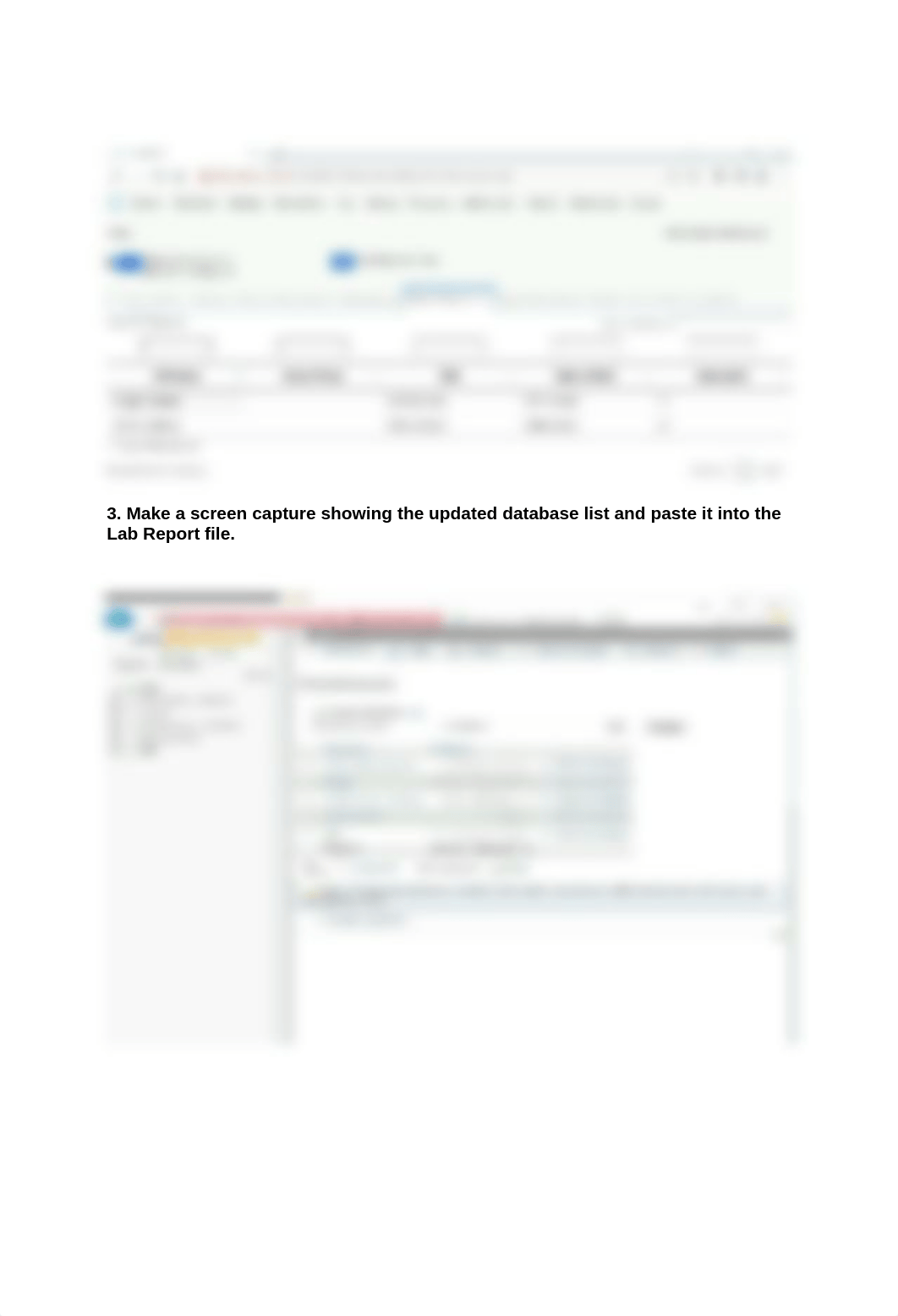 Lab -Applying Regulatory Compliance Standards.docx_dhi1mudzvr0_page4