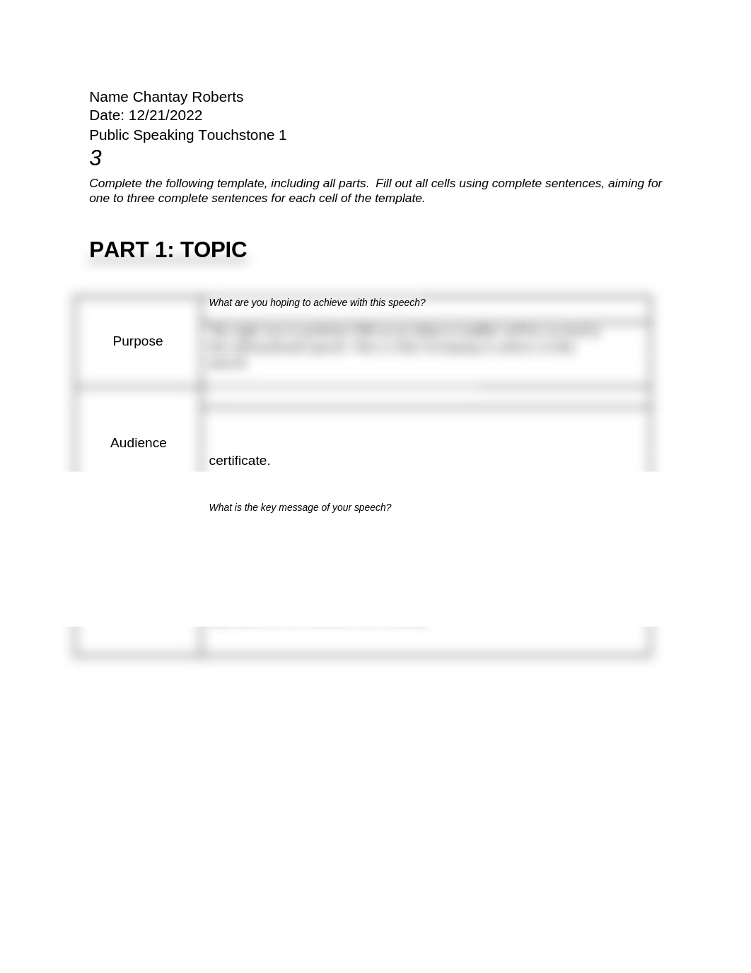 Touchstone_2_Template.docx_dhi6jifcwcl_page1