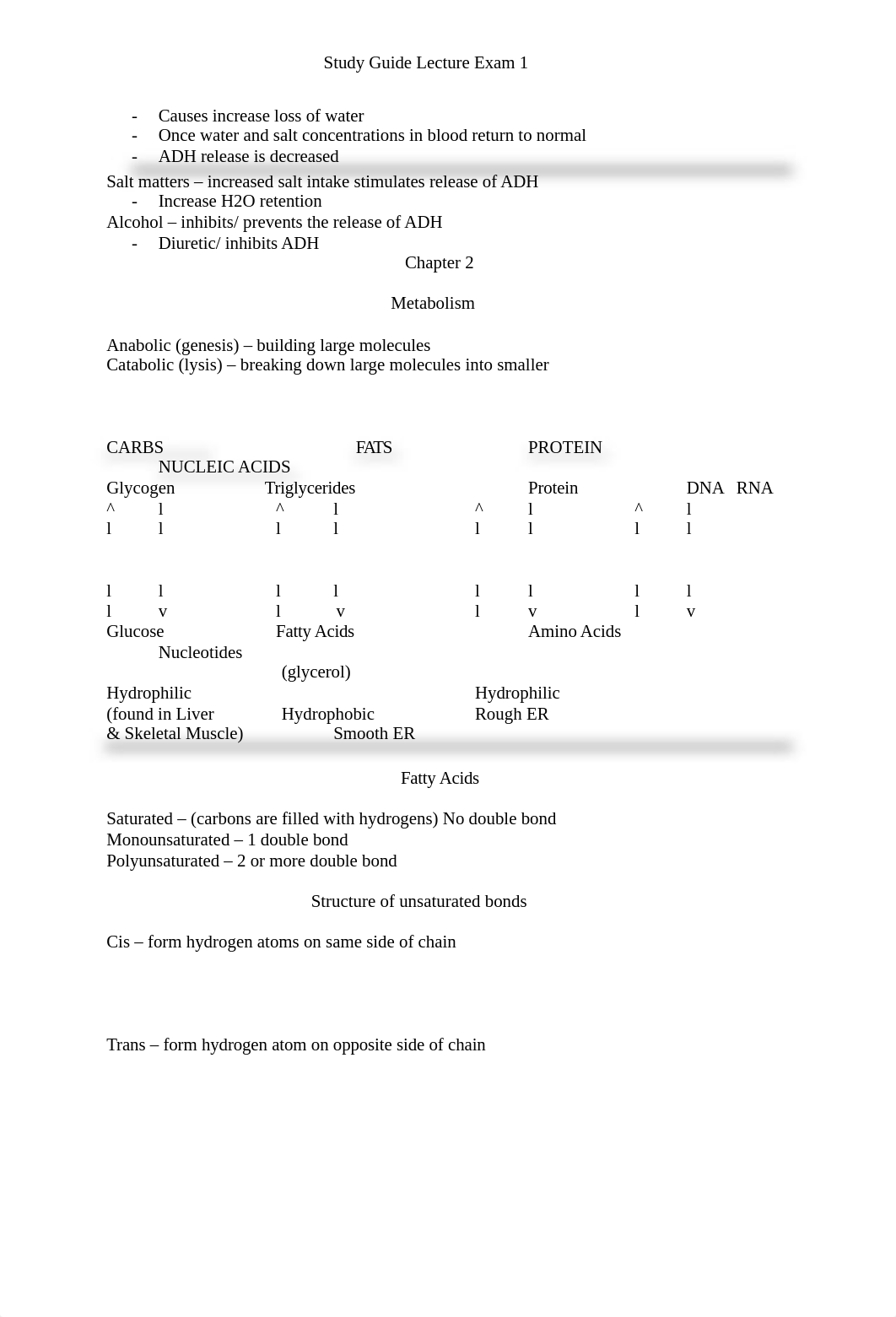 physio lecture exam 1.docx_dhidbsncgxq_page3