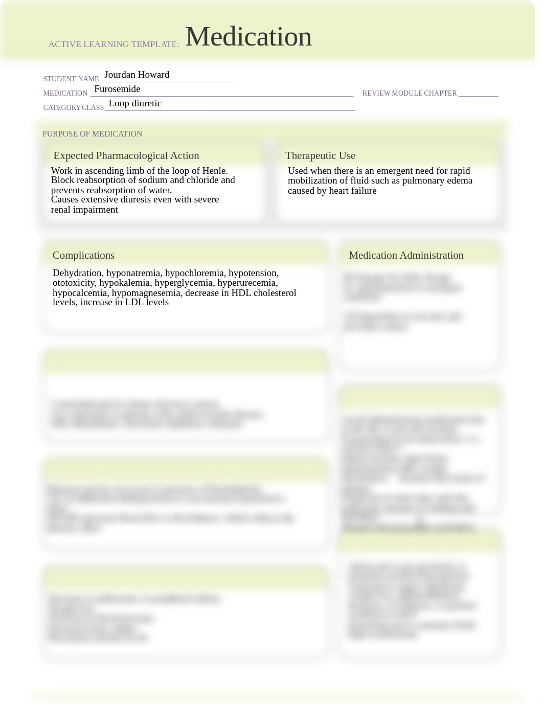 Furosemide Med Template.pdf_dhig14qzpl4_page1