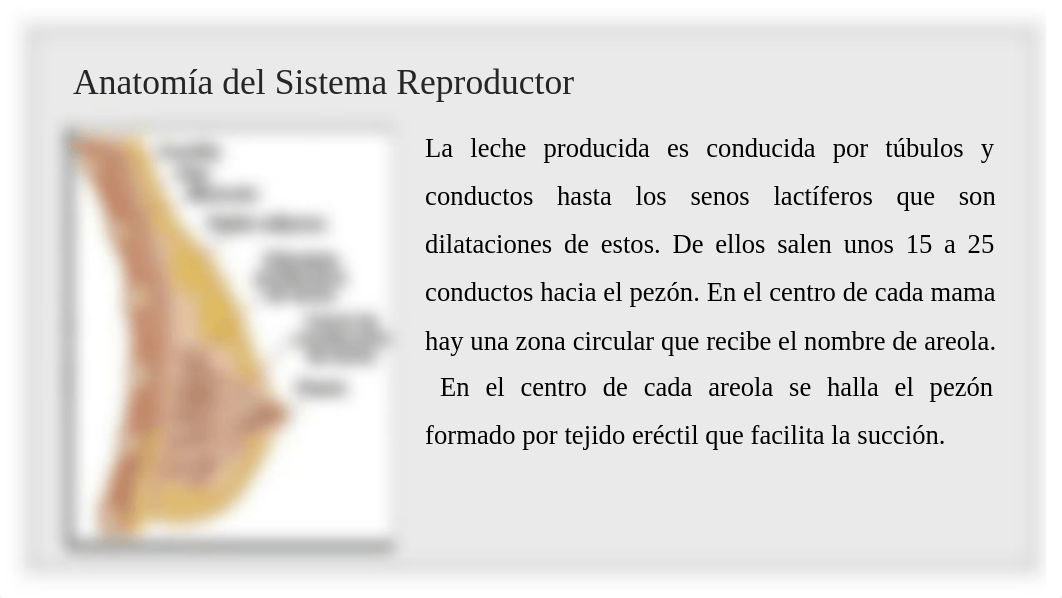 Intervenciones quirurgicas.pptx_dhiklsxluow_page4