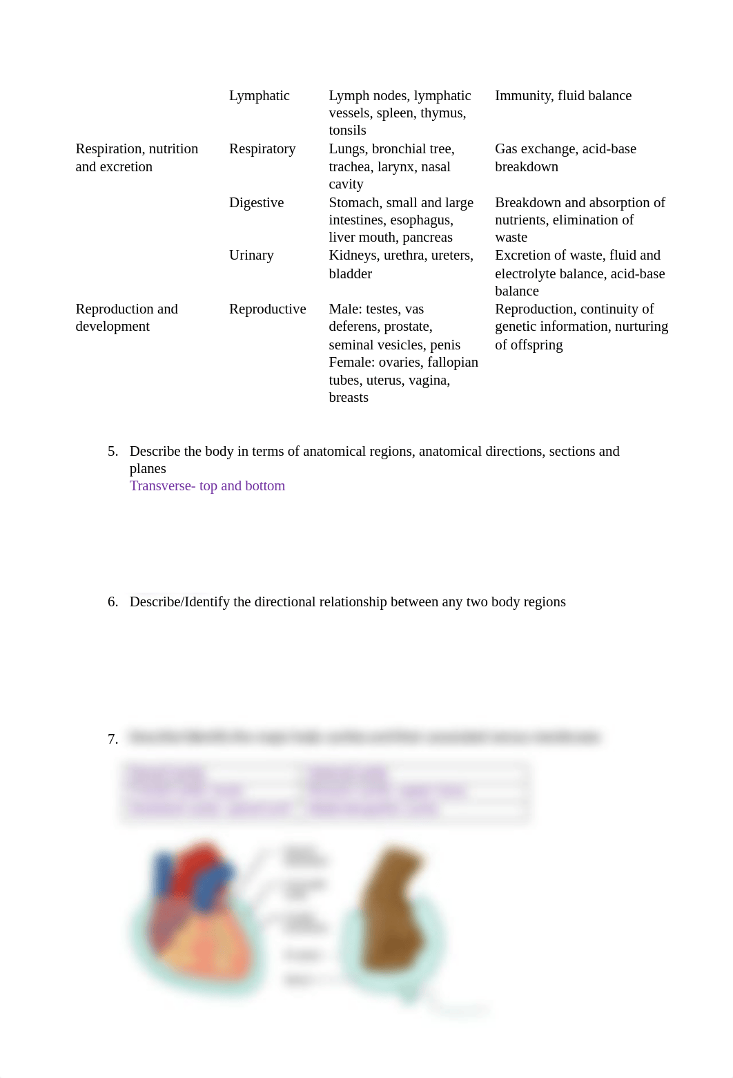 Test 2 Review.docx_dhioougpjc2_page2