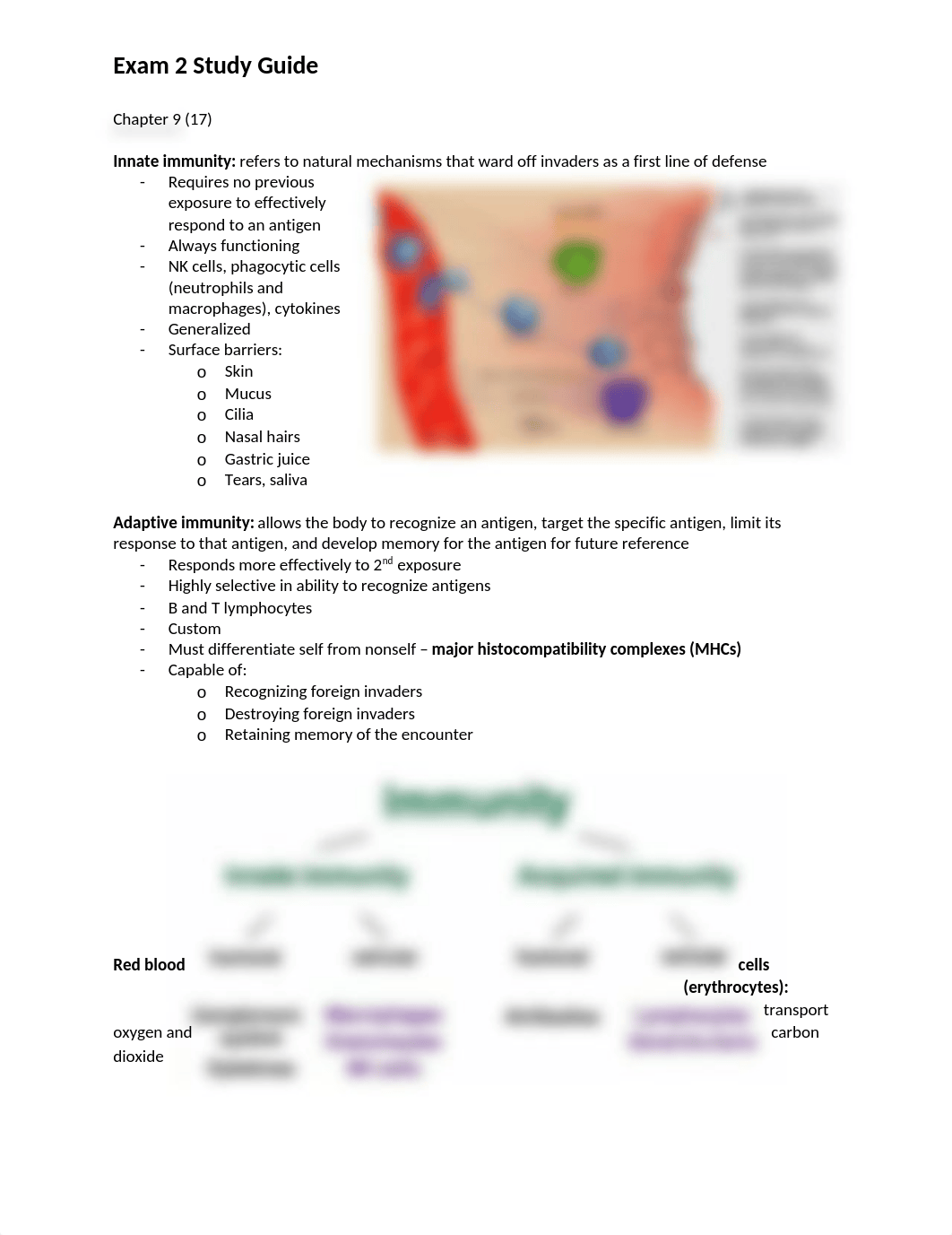 Exam 2 Study Guide.docx_dhirbknf7gi_page1