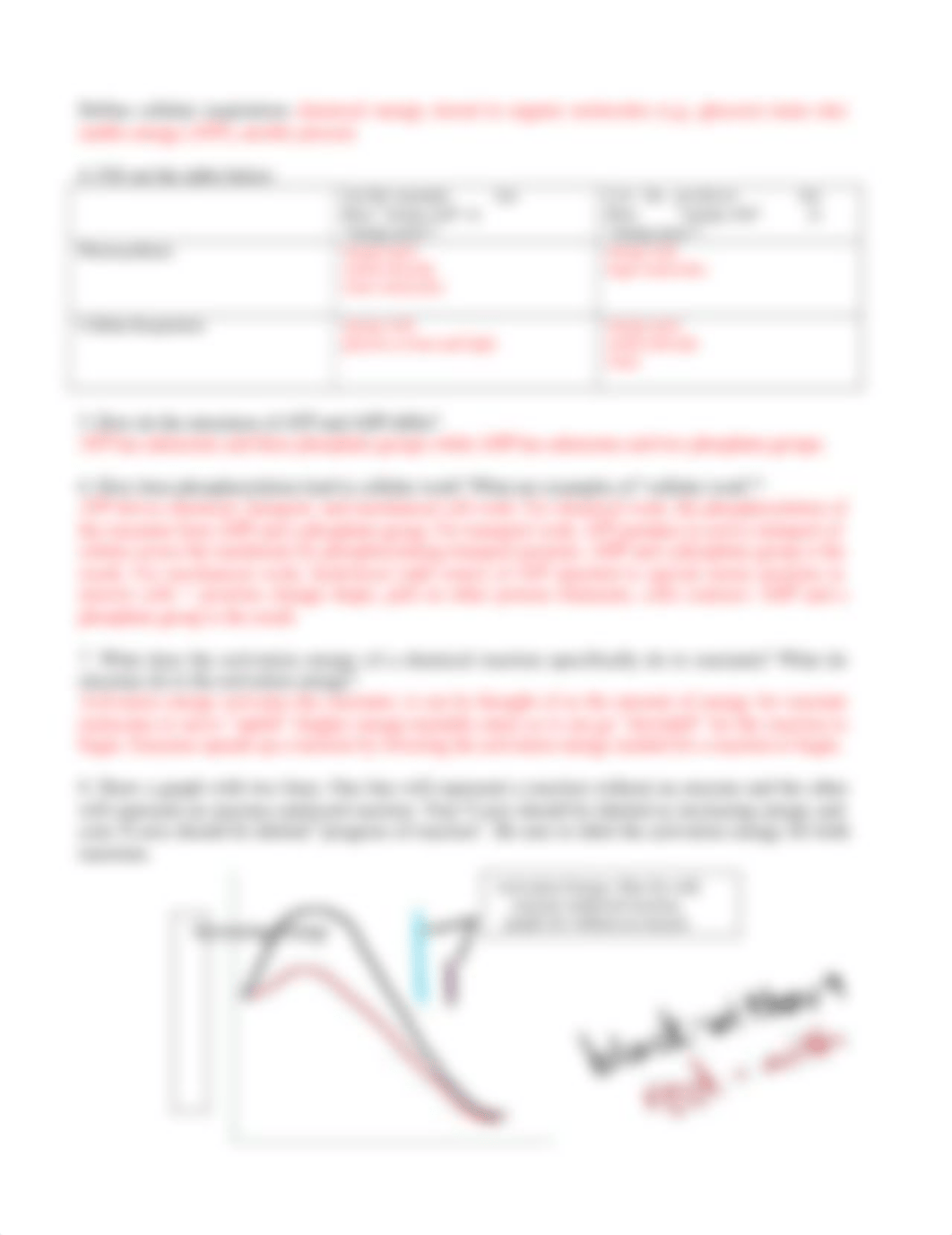 L06- Energy and Enzymes and Cellular Respiration.docx_dhixjpm05bg_page2