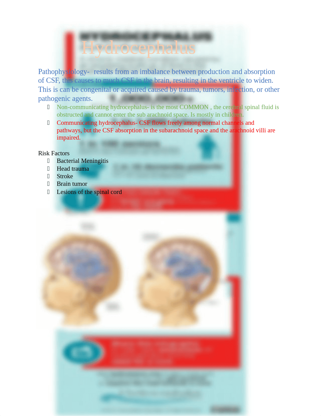 Hydrocephalus study notes  (2).docx_dhjcbrhl75y_page1