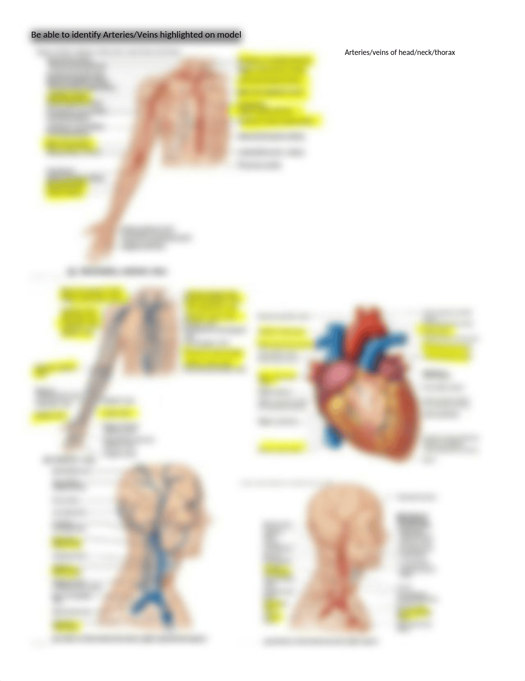 Lab Practical 2.docx_dhjdf2jvl4v_page4