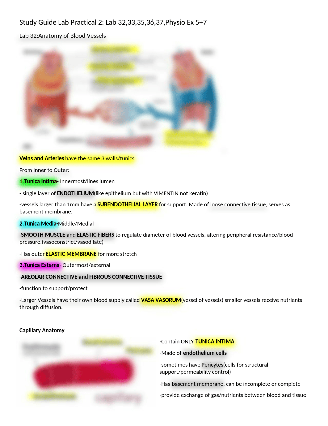 Lab Practical 2.docx_dhjdf2jvl4v_page1