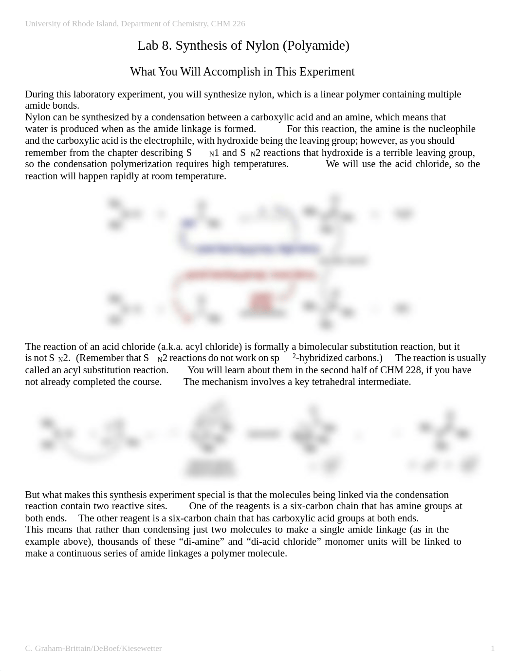 Lab 8 - Synthesis of Nylon.pdf_dhjeyw9pbkr_page1