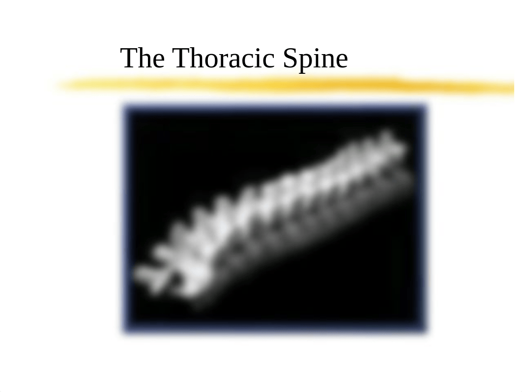 TECH 2712 Week 5 - Thoracic Spine (Unabridged)_dhjg94e9ysa_page5