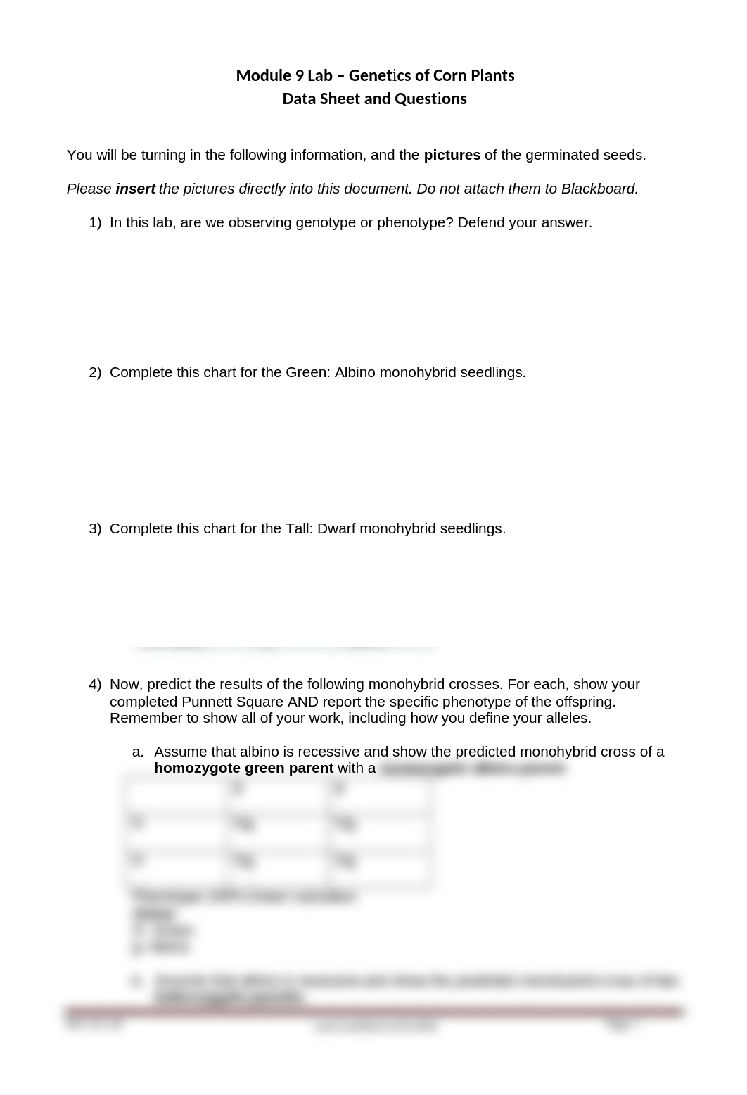 Module 9 Lab_Genetics of Corn Plants_Data Sheet.docx_dhjgcyc8gnl_page1