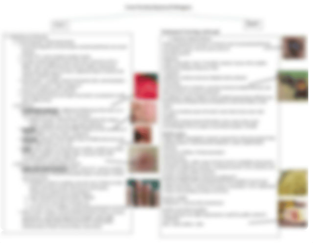 Gram Positive Bacteria chart .docx_dhjhx33fimd_page2