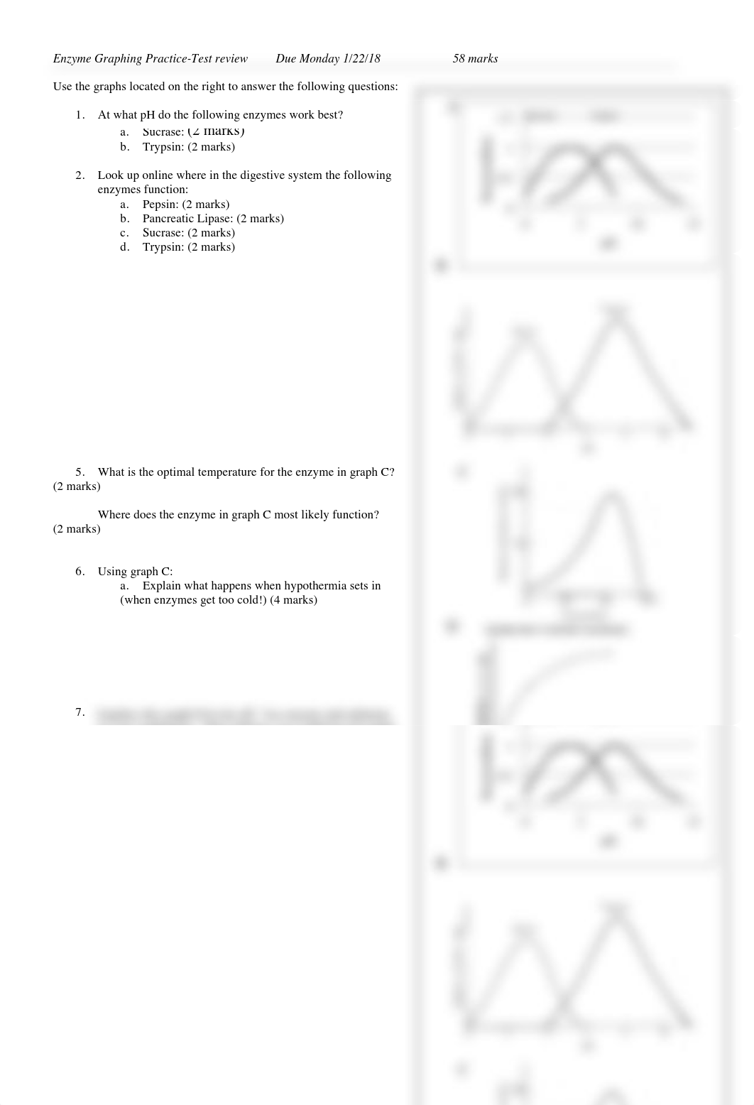 Enzyme_Graphing_Worksheet-2.pdf_dhjmer5hveo_page1