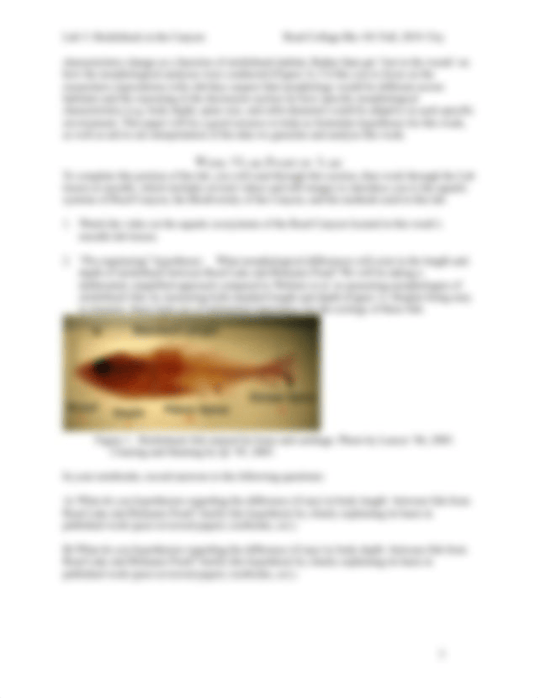 1 Week 3 Lab Handout Stickleback I F20 (1).pdf_dhjpw6pc0wq_page3