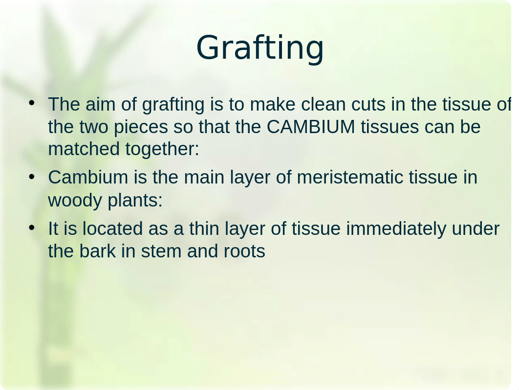 Grafting lab(1)(1).ppt_dhjurx4neew_page4