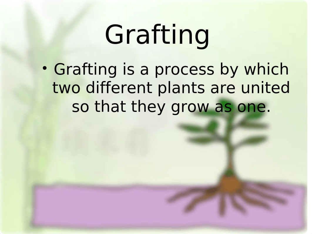 Grafting lab(1)(1).ppt_dhjurx4neew_page2