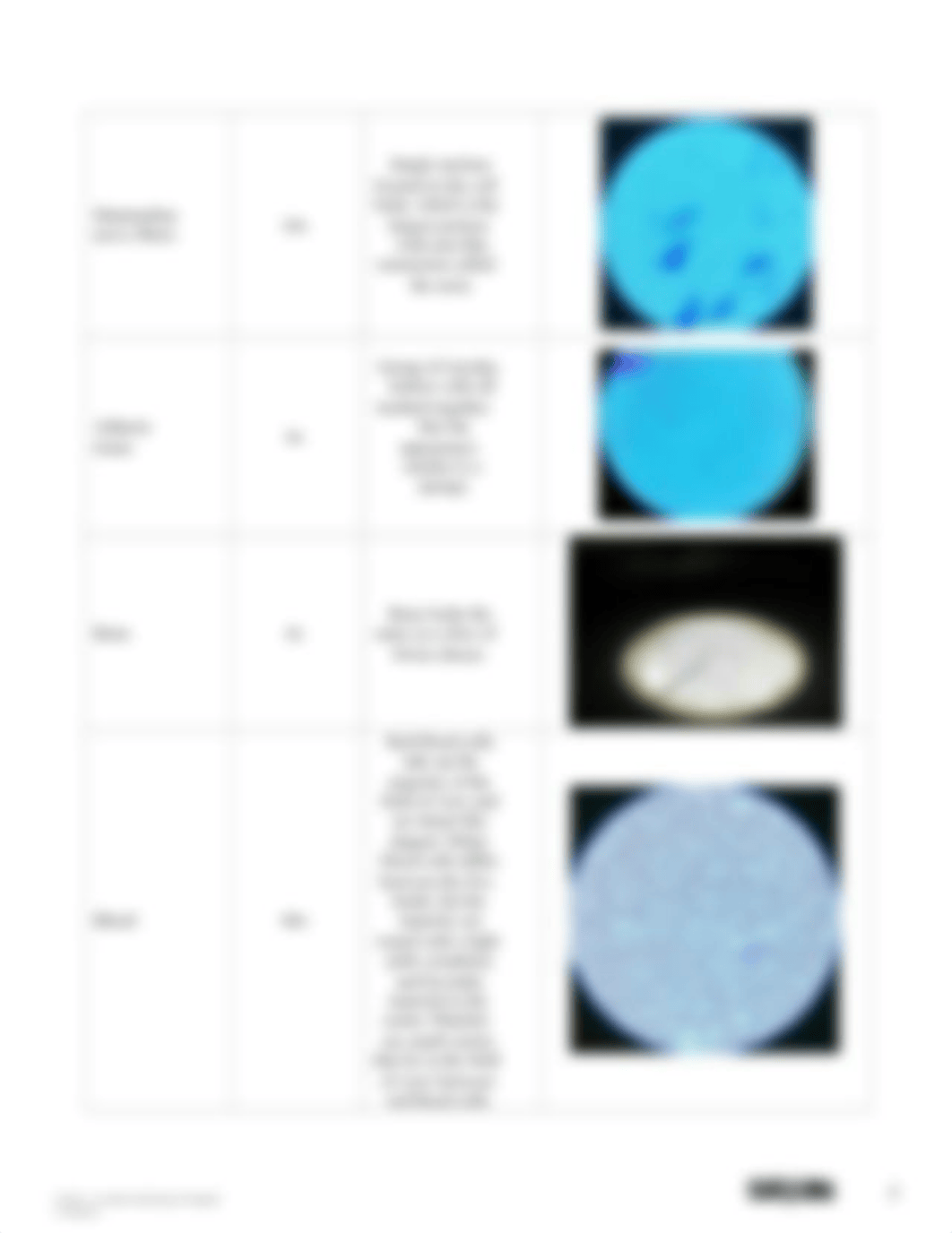 Module 2 Introduction to Histology lab.docx_dhjxj8654f4_page3