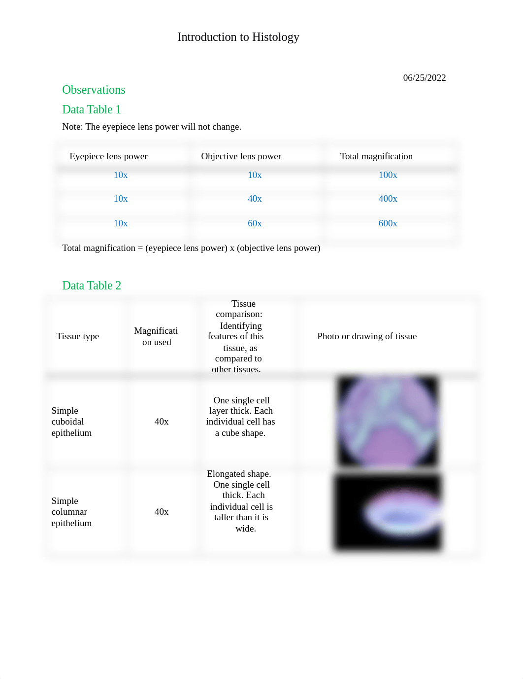 Module 2 Introduction to Histology lab.docx_dhjxj8654f4_page1