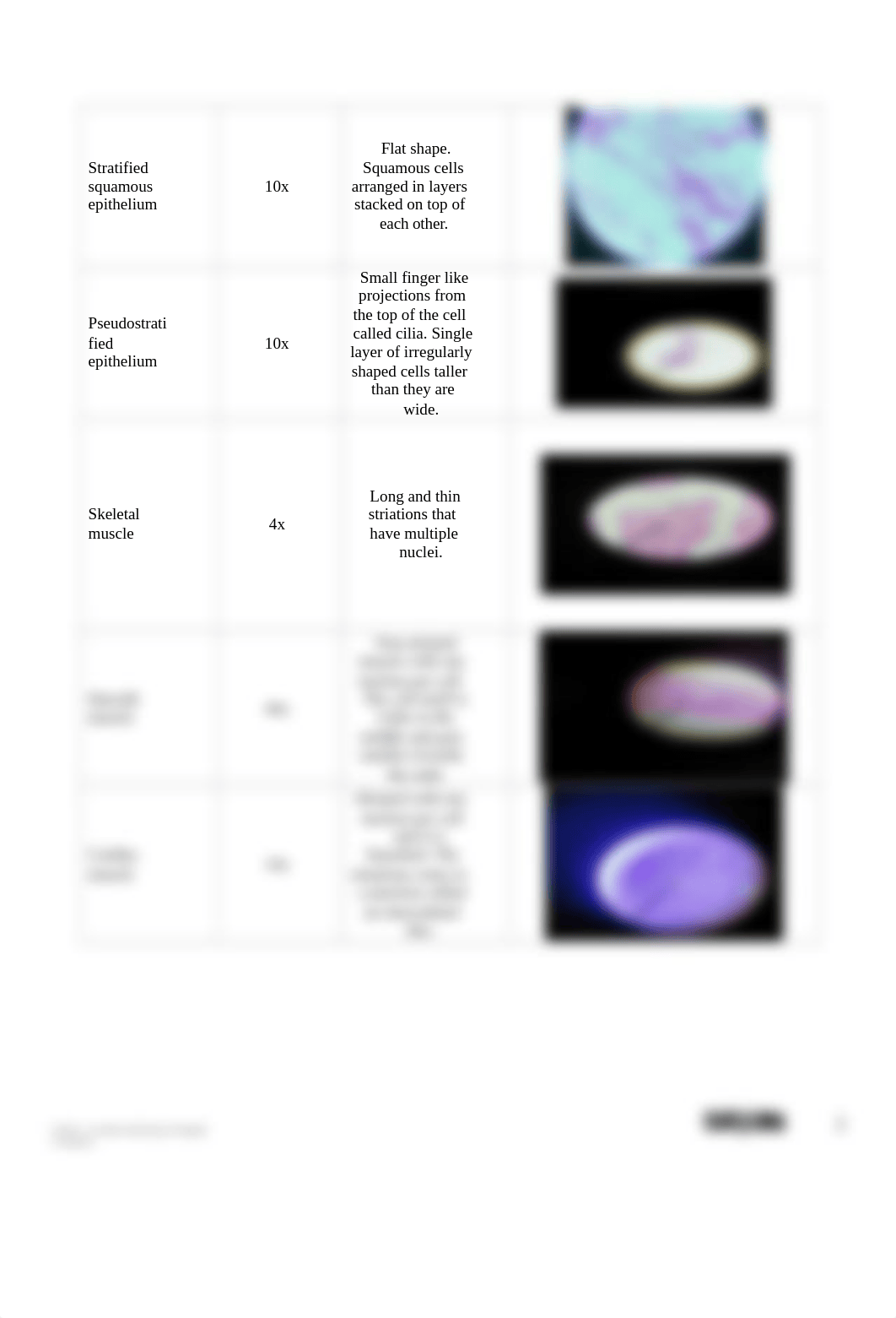 Module 2 Introduction to Histology lab.docx_dhjxj8654f4_page2