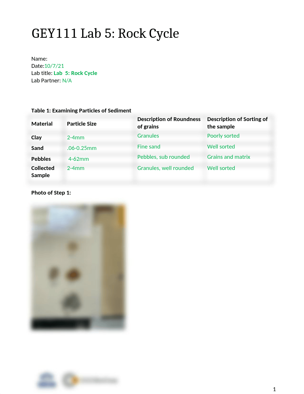 Lab5.docx_dhk3x385pns_page1