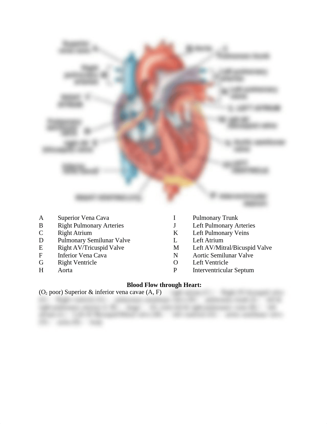 blank heart filled in matches Lab pic(2).doc_dhkb67kme4q_page1