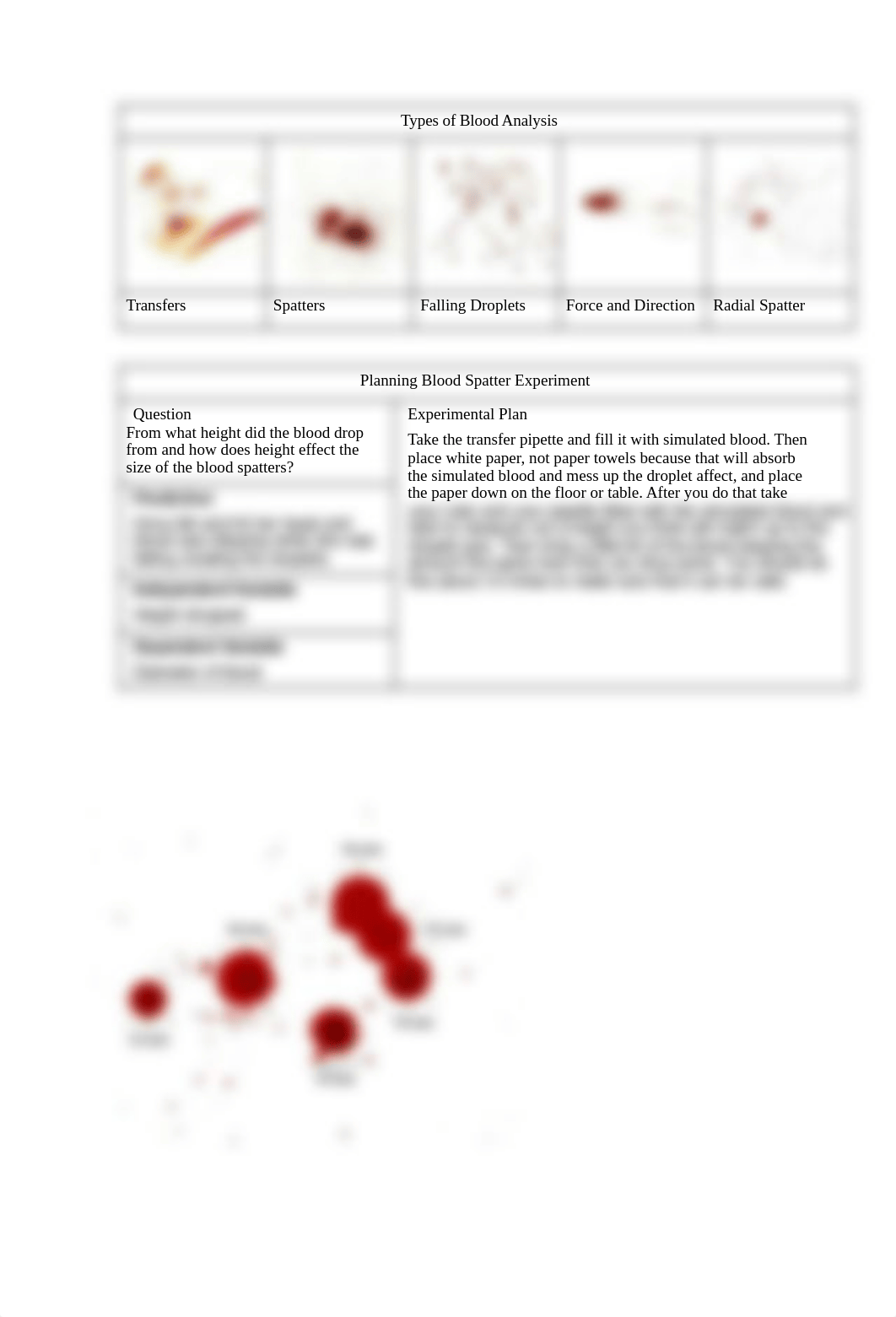 1.1.4 Spatter Lab.pdf_dhkdmaifg6o_page1