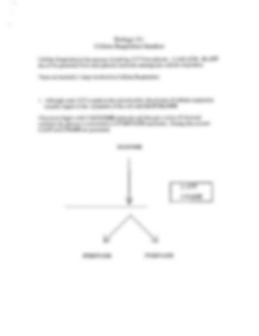 Cellular_Respiration_dhkghghpd7g_page1