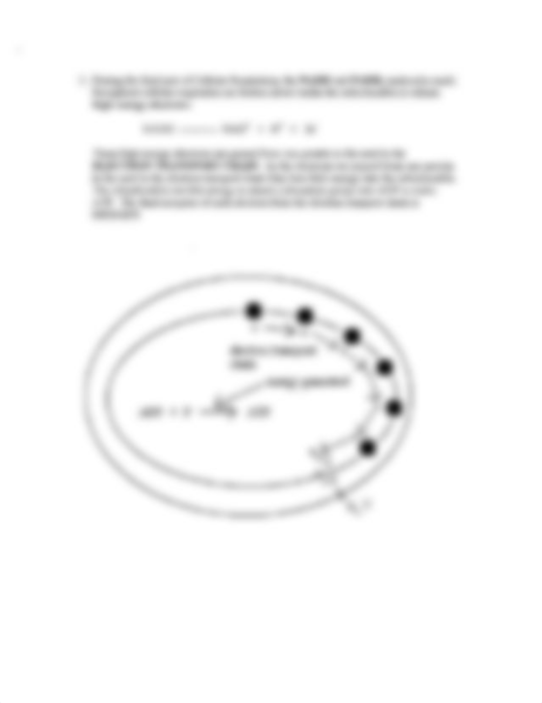 Cellular_Respiration_dhkghghpd7g_page3