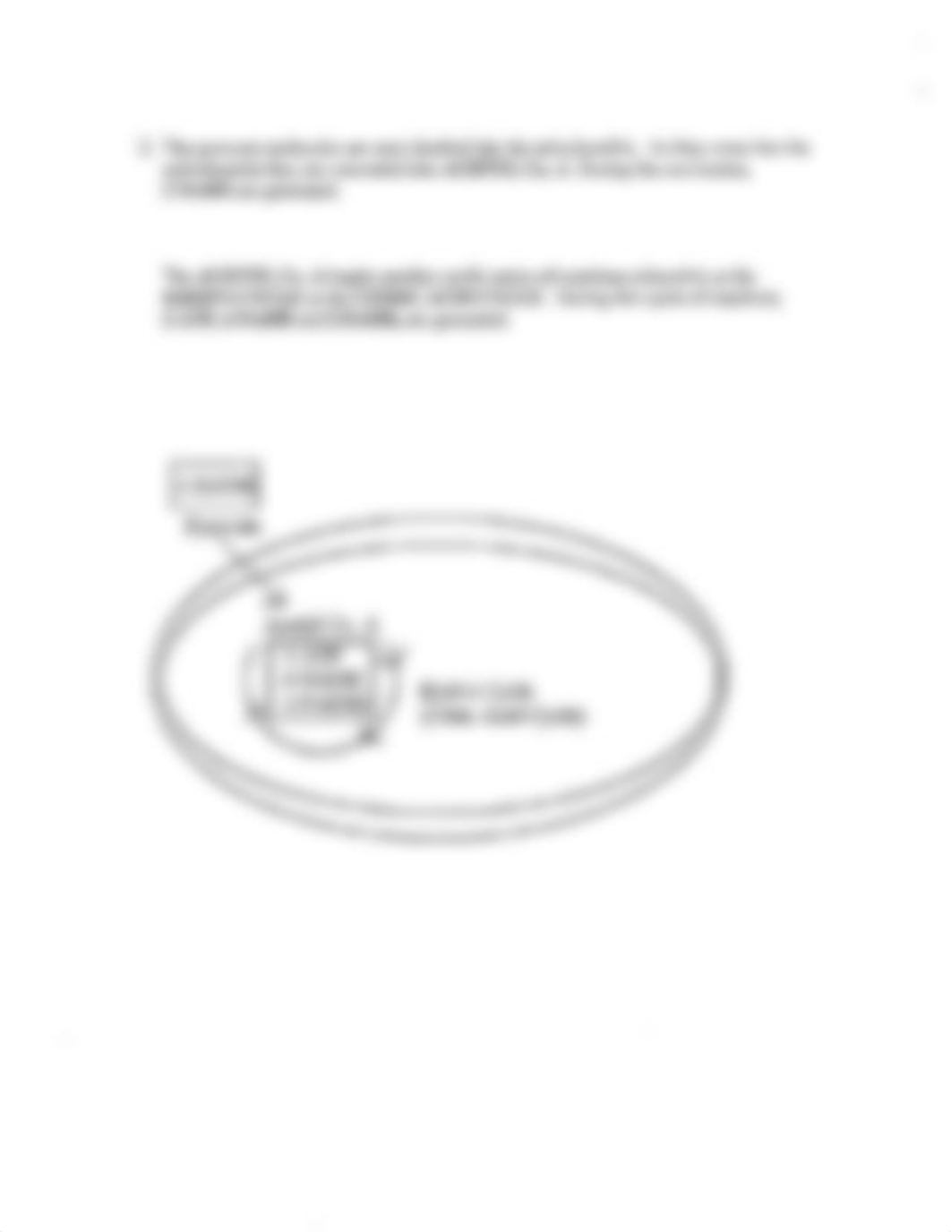 Cellular_Respiration_dhkghghpd7g_page2