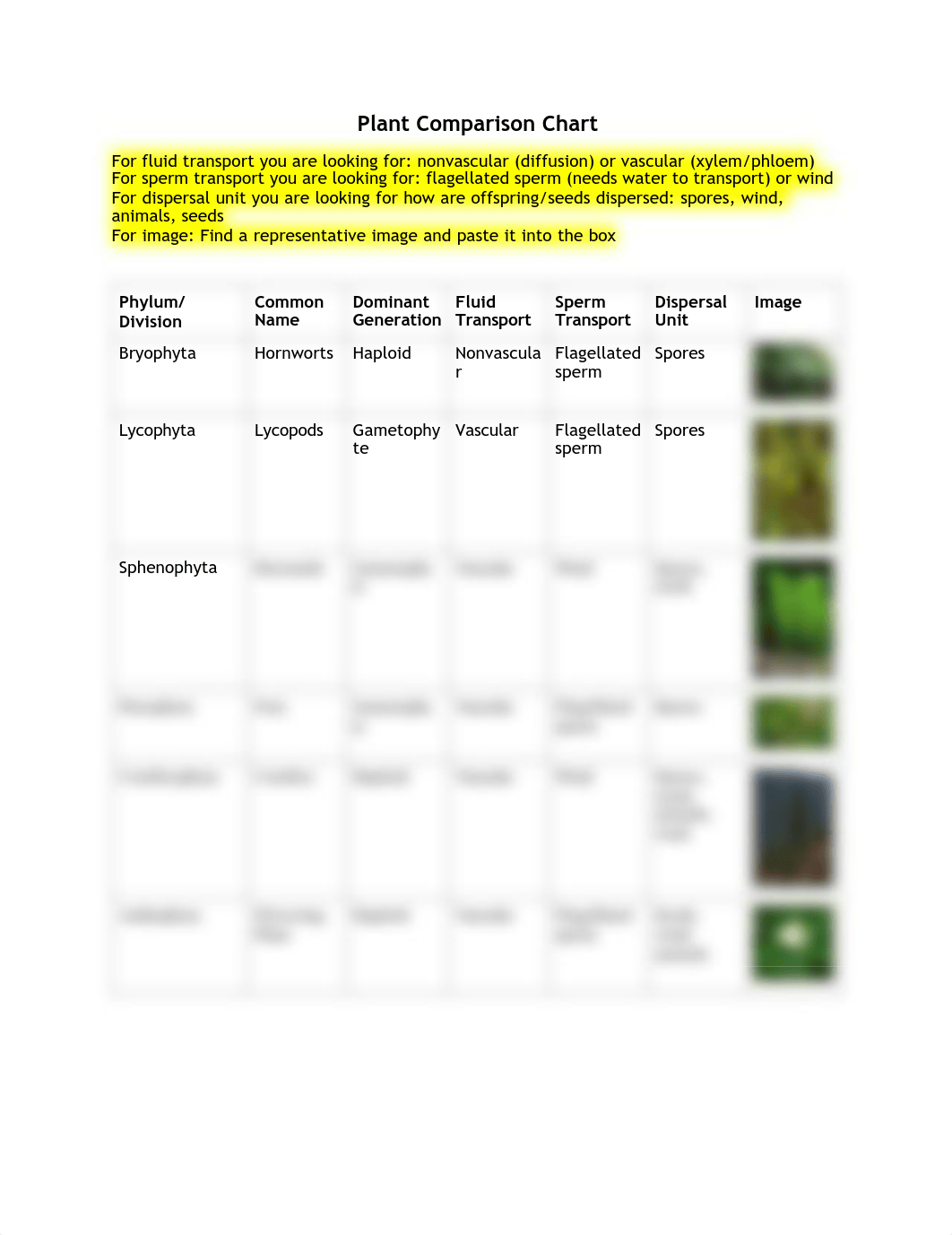 Plant Comparison Chart.pdf_dhkkqw7qw9x_page1