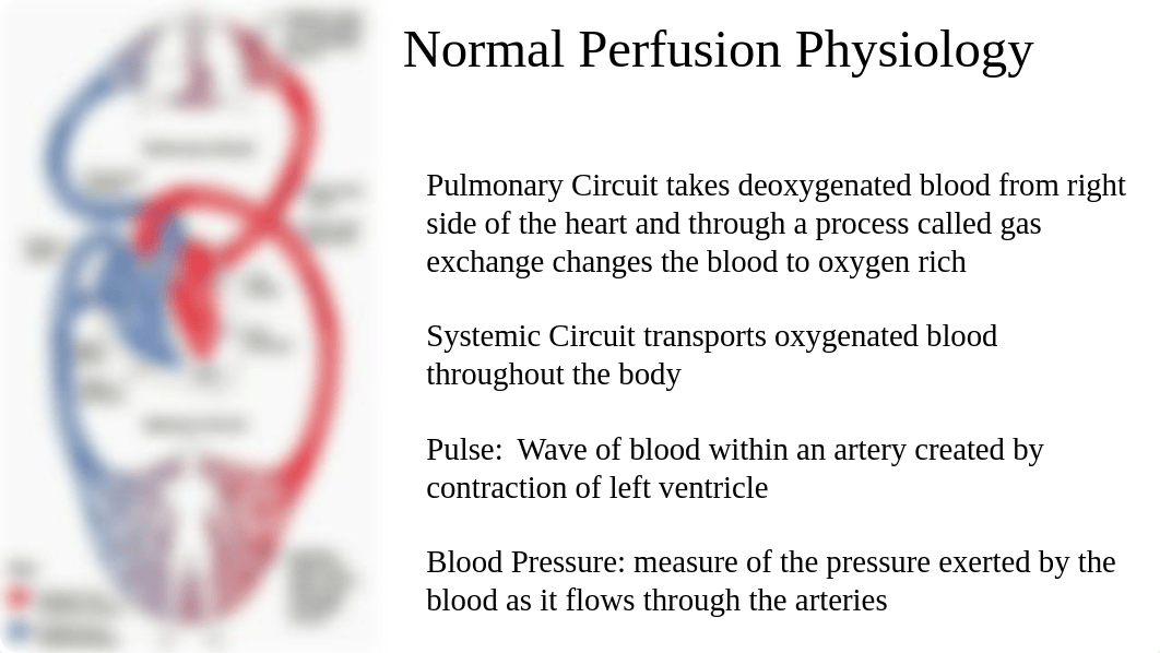 Perfusion 1015 .pptx_dhkpyds1ee6_page5