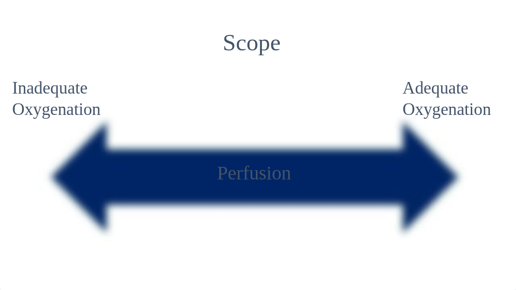 Perfusion 1015 .pptx_dhkpyds1ee6_page4