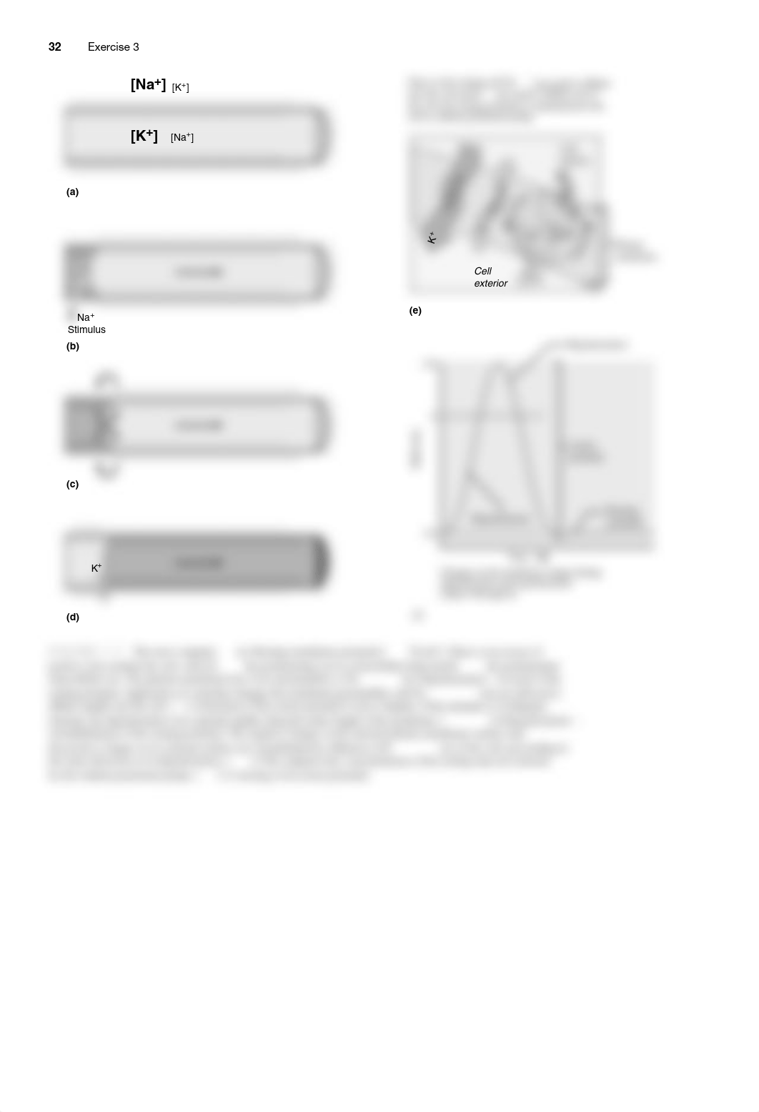 Neurophysiology and Nerve Impulses.pdf_dhktwu0msg1_page2