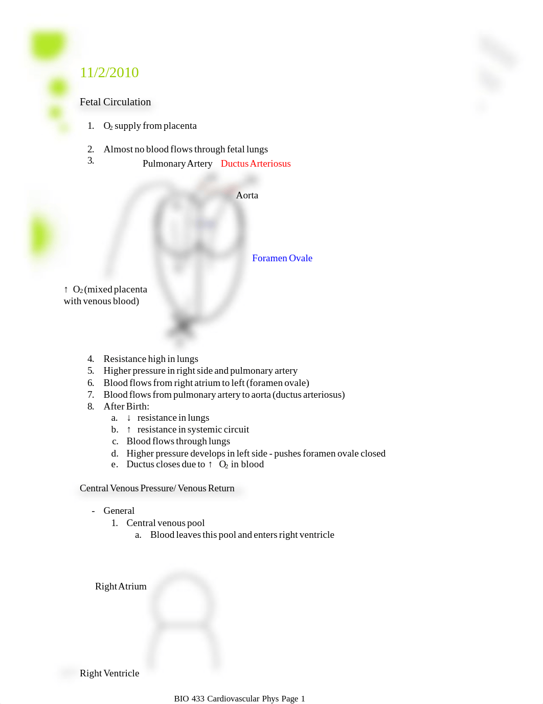 Fetal circulation notes_dhl6hx4euow_page1