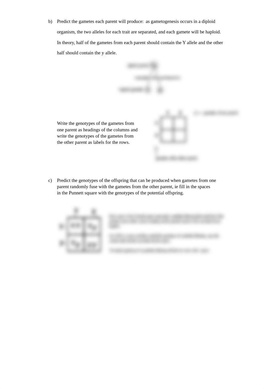 Practice Genetics Problems(1).doc_dhl9rfkydjj_page2