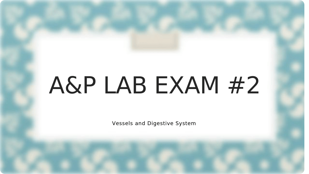 A&P Lab Exam #2 Answers.pptx_dhllbhpo454_page1