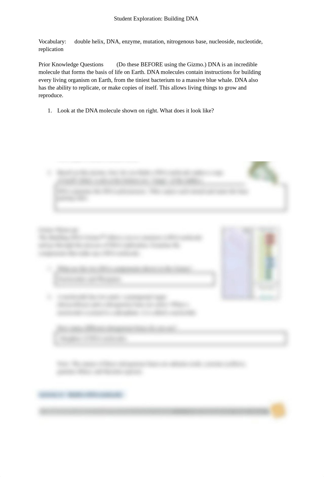 Copy of Gizmos_ Building DNA Activity.docx_dhlx20ps9op_page1