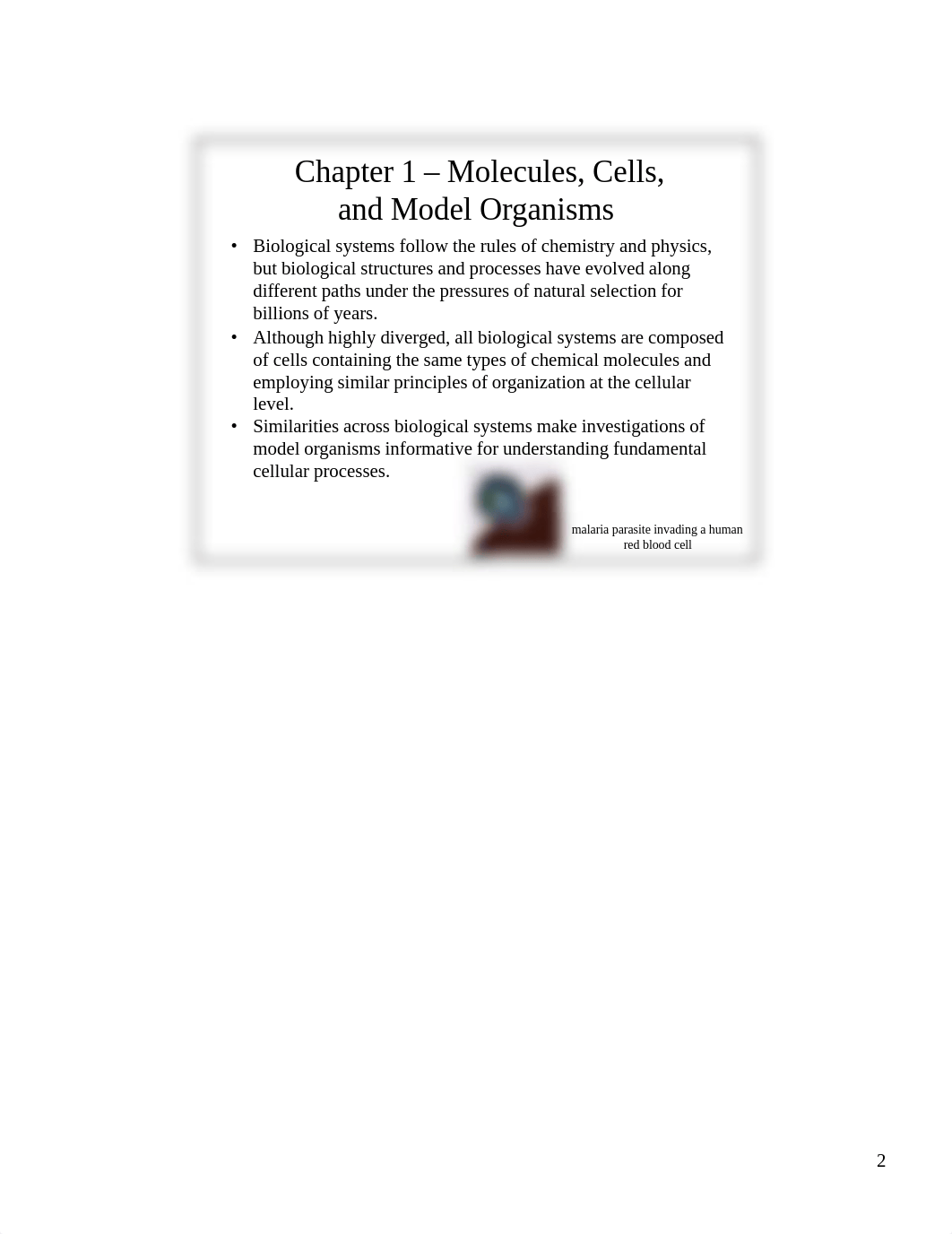 Chapter 1.pdf_dhm5dfuy5ze_page2