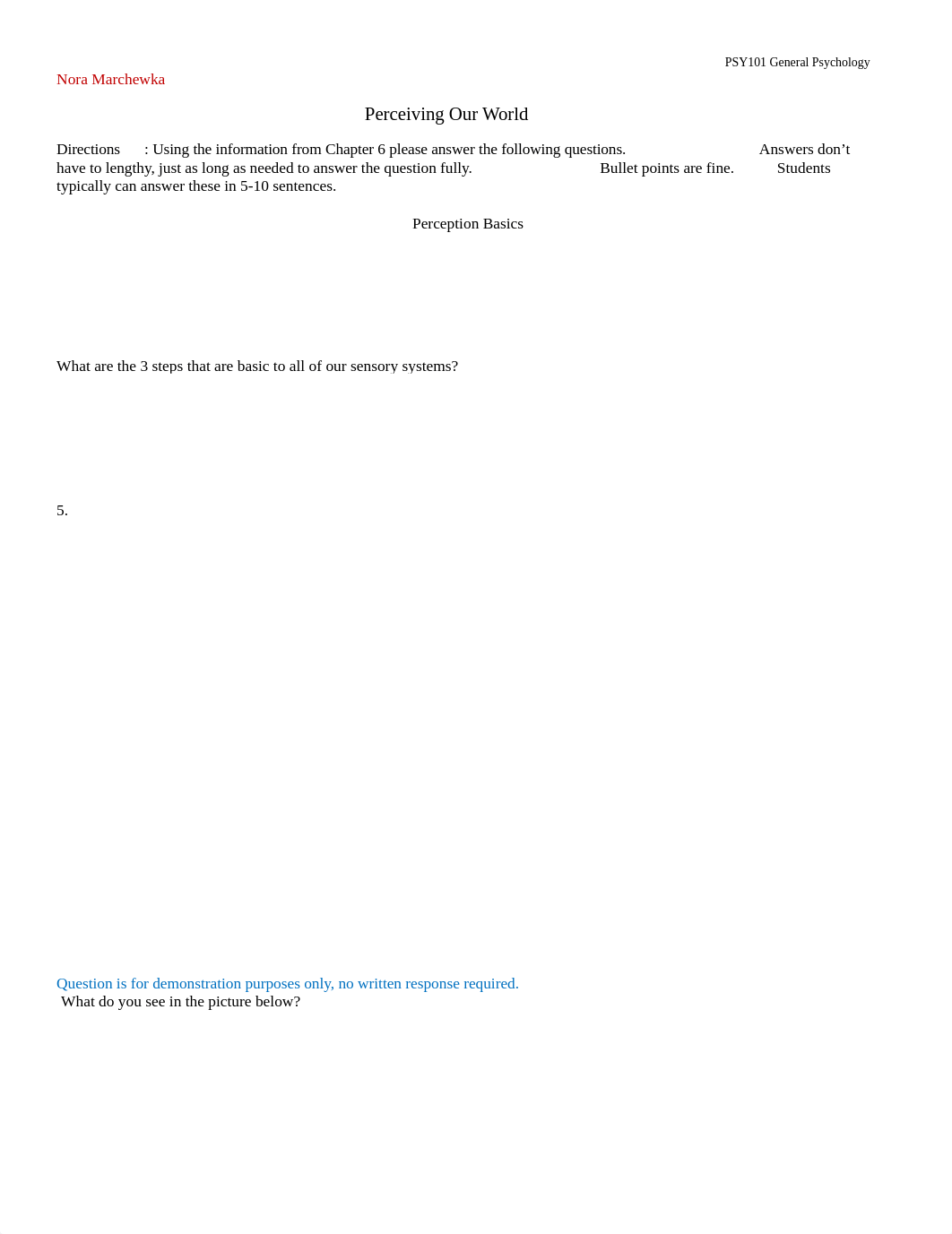 Assignment 5 - Percieving Our World - 30.docx_dhm60zehwnp_page1