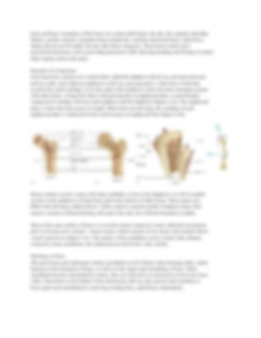 Chapter 6_ Skeletal system_ bone and joints.pdf_dhm6swal9qa_page2