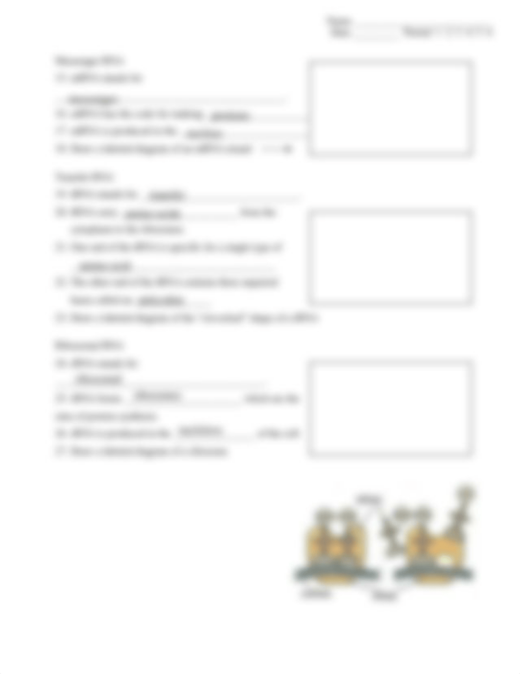 Kami Export - Jakayla Cunningham - RNA worksheet 2021.pdf_dhmdsk4g5vb_page2