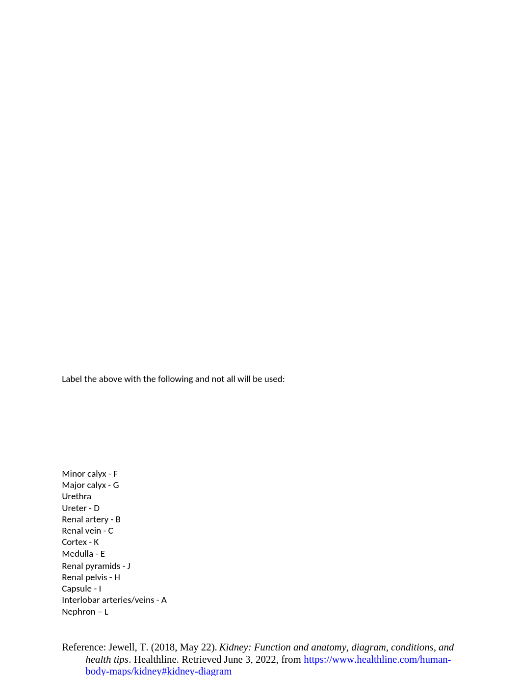 Kidney Labeled.docx_dhmeu1czbj3_page1