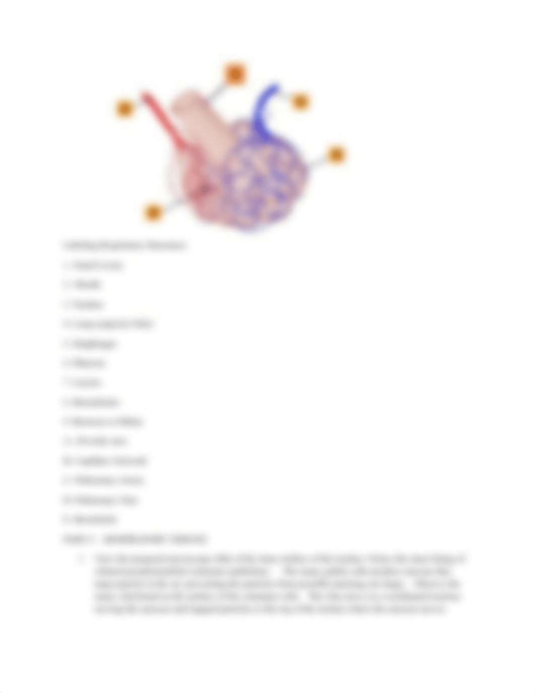 bio lab 4.doc_dhmjldqnfsa_page3