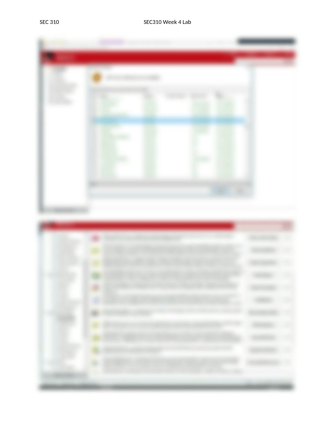 SEC310-Week4  Lab.docx_dhmmd62z5m1_page2