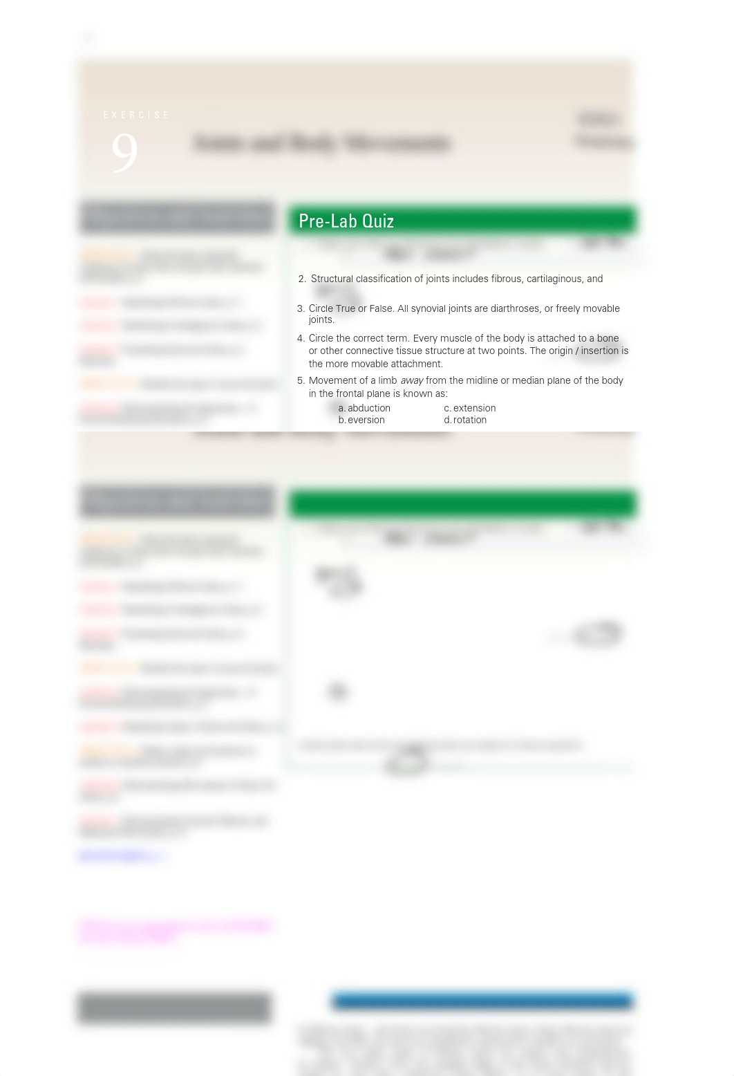 Lab9_Joints_Anatomy_S21.pdf_dhmo06gpyx3_page1