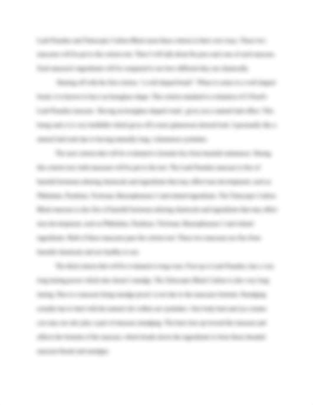 Evaluation_Argumentive_Essay_Comp_II__dhmspoajm6t_page2