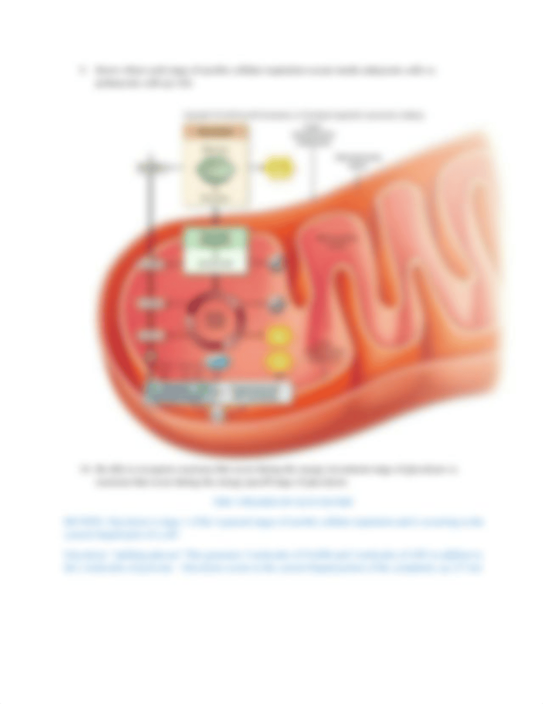 Exam 2 Review.docx_dhmxfpa28bd_page2